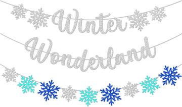 Winter Wonderland Banner With Snowflakes